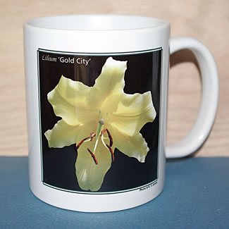 mug DS-105 6675.jpg